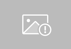 茶韵医理，中医理论与现代品茶的融合实践